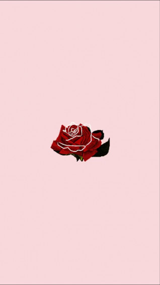 Wallpaper Rose Pink Minimalist Pretty