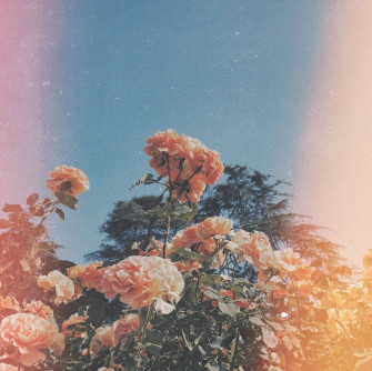 Cool For Girls Wallpaper