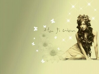 Ha Ji Won Wallpaper Photo And Picture Celebrity