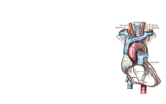 Grays Anatomy Heart Because Ve Got Such Big HD Wallpaper Of Love