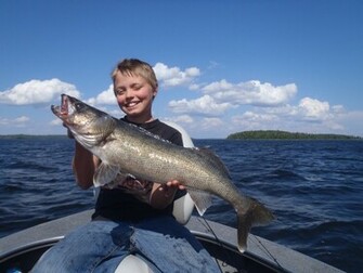 Displaying Image For Walleye Background