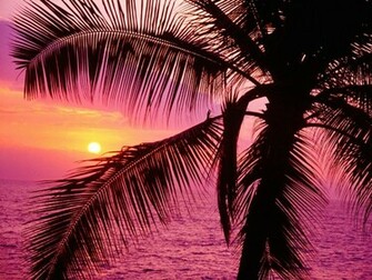 Background Girly HD Desktop Wallpaper