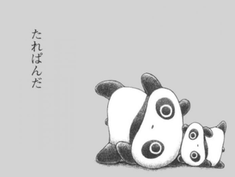Tarepanda Photo