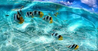 Live HD Wallpaper For Pc Gallery
