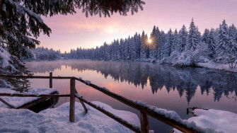 Winter Wonderland Wallpaper