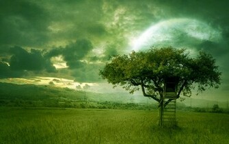 Hp Laptop Wallpaper