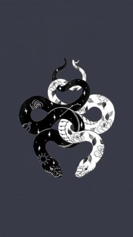 Tokyo Japan Dragon Wallpaper Awesome HD