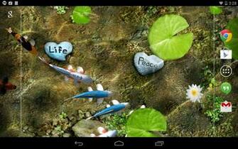 Koi Live Wallpaper