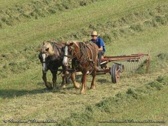 Amish Life Desktop Background Wanda Brunstetter