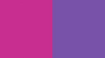 Resolution Royal Fuchsia And Purple Solid Two Color Background