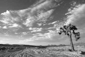 Cloudy Desert