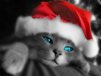 Christmas Screensavers Wallpaper Pictures