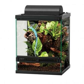 Front Opening Terrariums Terrarium Zilla