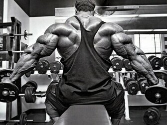 Knights Of Bodybuilding Roelly Winklaar