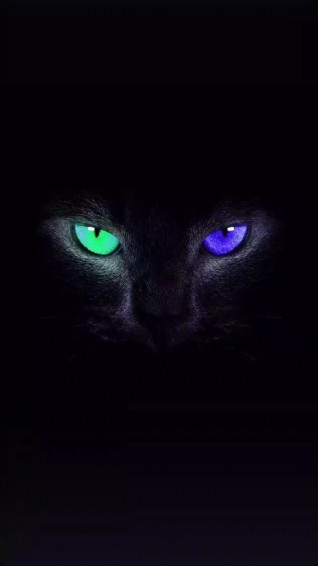 Watching You Animal Wallpaper iPhone Landscape