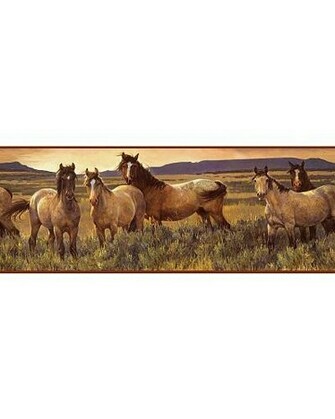 Western Wall Coverings Wallpaper Borders Haihorsie