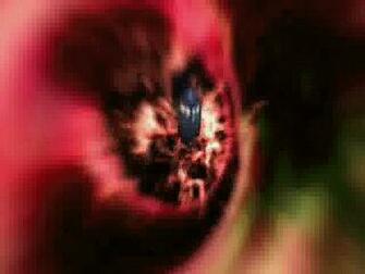 Doctor Who Screensaver Image Search Results