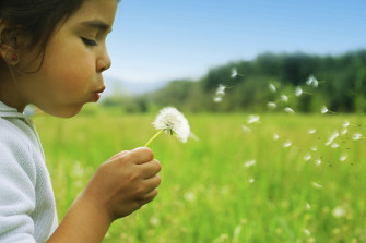 Azerbaijan Actively Combating Child Labor