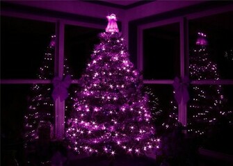 Purple Christmas Tree Pictures Photos And Image For