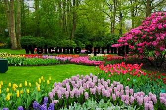 Welcome Spring HD Wallpaper Image