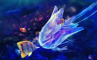 5d Wallpaper Google Search Background In