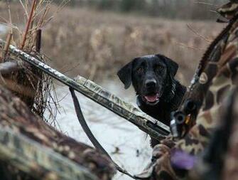 Related To Hunting Pc Wallpaper Background Computer