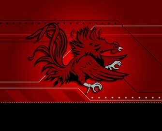 Usc Gamecocks Wallpaper Gamecock By Jwo2013