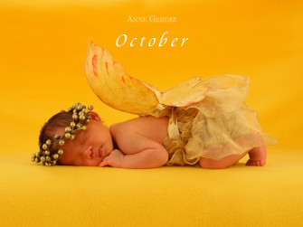 Anne Geddes Sorry For The Delay October Wallpaper