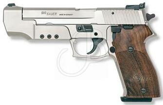 Showing Gallery For Sig Sauer P220 Sport