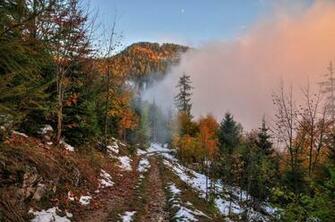 Autumn Road Trees Landscape Snow Wallpaper