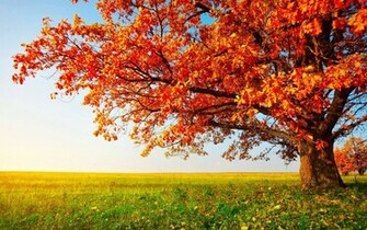 Beautiful Scenery Wallpaper Most Places In The