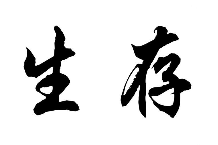 Mtu4ndk5nzu5 Warriors Horses Chinese Japanese Symbols Wallpaper Border
