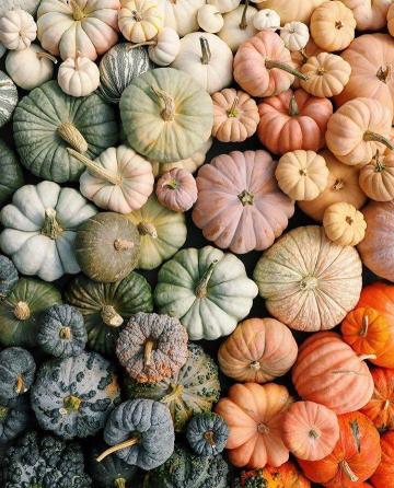 Aesthetic Sharer Zhr On Cute Fall Wallpaper