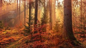 September Wallpaper Desktop Phone Calendars