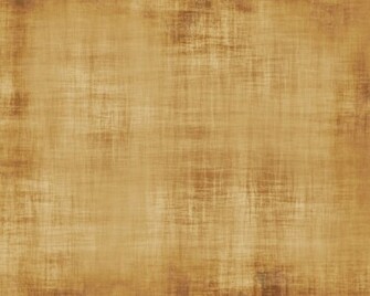 Fonds D Cran Papyrus Tous Les Wallpaper