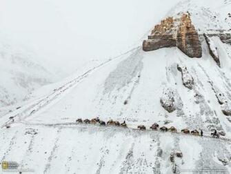 Di Patrizio Radaelli National Geographic Magazinewallpaper
