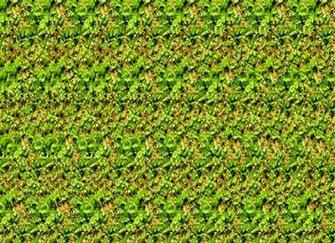 Stereogram Wallpaper