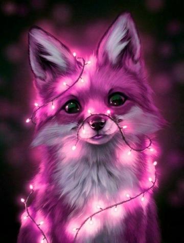 Collection Top Animal Wallpaper Cute HD