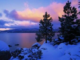 Winter Wallpaper