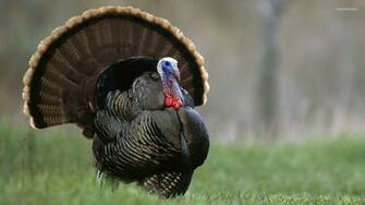 The Stratalis Group Strategic Challenges Turkeys Face