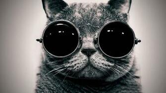 Cat Steampunk Wallpaper Glasses Funny X