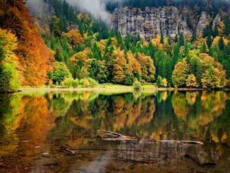 Couleurs D Automne De La For T Noire Wallpaper