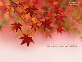 Bible Verse Beautiful Scenic Wallpaper First