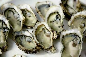 Raw Oyster 1080p 2k 4k 5k HD Wallpaper