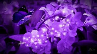 Bright Purple Wallpaper