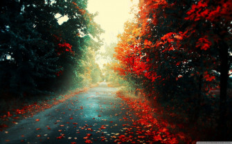 Cool Chill Wallpaper On
