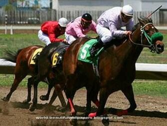 Beautiful Wallpaper Racing Horse