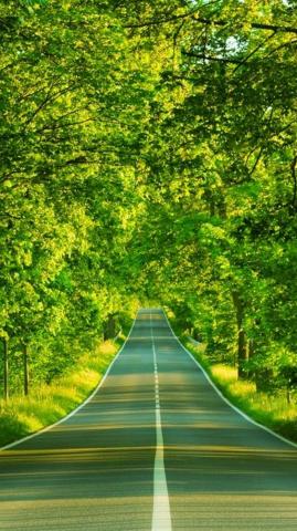 iPhone Wallpaper Nature Green 3d