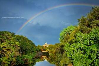 Source Url Kootation Eyed Rainbow Animal Html