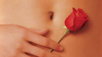 American Beauty HD Wallpaper Background Image